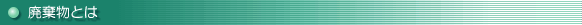 p戵i